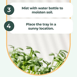 Window Garden Microgreens Grow Kit - Includes Microgreen Seeds, Fiber Soil, Acrylic Growing Tray, Sprayer - Fresh Organic Greens - Window to Table Superfood, Non GMO Microgreen - Live Indoor Planting