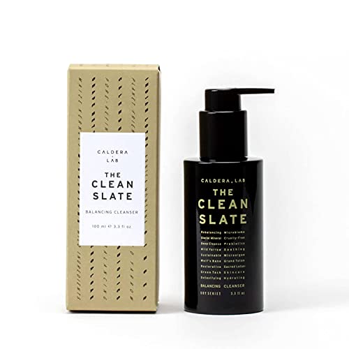 Caldera + Lab The Clean Slate | Men's Organic Foaming Facial Cleanser for Dry, Sensitive, & Normal Skin – Vegan, Natural & Antioxidant Packed Exfoliating Face Wash