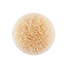 Load image into Gallery viewer, EcoTools Dry Body Brush, For Post Shower &amp; Bath Skincare Routine, Removes Dirt &amp; Promotes Blood Circulation, Helps Reduce Appearance of Cellulite, Eco-Friendly, Vegan &amp; Cruelty-Free, 1 Count
