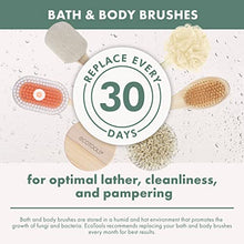 Load image into Gallery viewer, EcoTools Dry Body Brush, For Post Shower &amp; Bath Skincare Routine, Removes Dirt &amp; Promotes Blood Circulation, Helps Reduce Appearance of Cellulite, Eco-Friendly, Vegan &amp; Cruelty-Free, 1 Count
