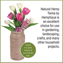 Load image into Gallery viewer, Hemptique Natural Hemp Twine #10 – Made with Love - Eco Friendly - Gardening - Macrame – Home Décor – Plant Hanger - Great for Jewelry Making, Crafts &amp; More – #10~0.5mm (3 Pack)
