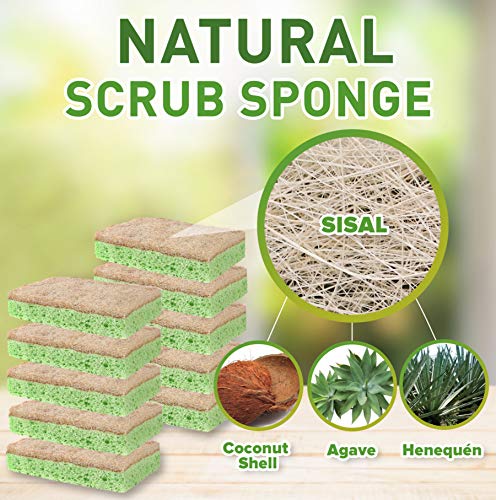 ScrubIt Cleaning Scrub Sponge by Scrub-it - Scrubbing Dish