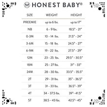 Load image into Gallery viewer, HonestBaby Baby Organic Cotton Long Sleeve Tshirts Multi Pack, Morning Mountains, 3-6 Months
