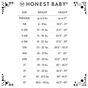 HonestBaby Baby Organic Cotton Long Sleeve Tshirts Multi Pack, Morning Mountains, 3-6 Months