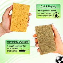 Load image into Gallery viewer, Natural Sponge 10 Pack - Eco Friendly Kitchen Sponge for Sustainable Living | Biodegradable Plant Based Cleaning Dish Sponge
