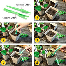 Load image into Gallery viewer, COSYLAND 100Pack 3in Peat Pots Plant Seeding Pot Seed Starter Tray for Garden Seedling Organic Eco-Friendly with Plant Labels, 2 Transplant Tools
