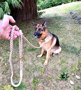 Ravenox Hemp Rope Leash Lead | 1/2-inch x 25 Foot for Medium or Large Dogs & Pets (Natural Tan) | Handmade in The USA, 100% American Made Genuine Hemp Rope | Soft Natural Fiber, Heavy Duty Hardware