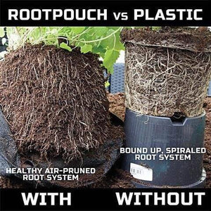 Best Root Pouch (10 Gallon) (10 Pack). Best Aeration Garden Pot and Grow Bag from Maui Mike's. Grow Bigger and Healthier Tomatoes, Herbs and Veggies. ECO Friendly.