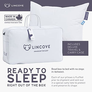 Lincove Cloud Natural Canadian White Down Luxury Sleeping Pillow - 625 Fill Power, 500 Thread Count Cotton Shell, Made in Canada, Standard - Medium, 2 Pack