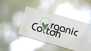 City Threads Boys Organic Cotton Brief Underwear for Sensitive Skin and Sensory Friendly (SPD), Boy, 3T