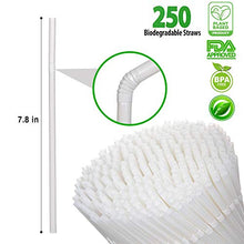 Load image into Gallery viewer, Biodegradable Plant Based Drinking Straws by StrawPanda- (250 Pack) 100% Compostable, an Eco Friendly Alternative to Plastic Straws, BPA Free
