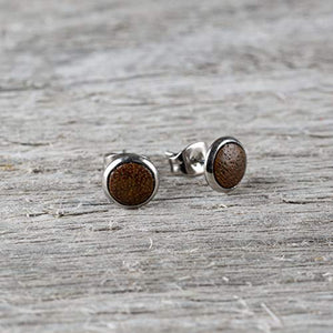 Earth Accessories Organic Wood Stud Earrings for Women - Earring Set Ear Rings with Surgical Steel