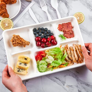 ECOLipak 100% Compostable 5 Compartment Plates , 100 Pack Disposable Compartment Paper Plates, 12.5*8.6 inch Biodegradable Sugarcane Plates, Eco-Friendly School Lunch Trays