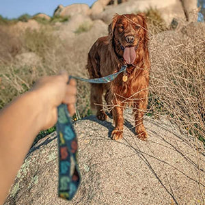 Jiminy’s Eco-Friendly Dog Leash for Medium Dogs, Small Dogs, & Large Dogs - Made from Sustainable Material, Heavy Duty & Strong Dog Leash, Made from Recycled Materials - 6 Ft Dog Leash