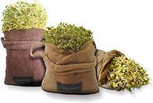 Load image into Gallery viewer, Sproutman SM Sprouter, Hemp Sprout Bag-2 Pack …
