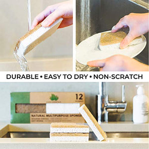 Natural Sponge - 12 Pack - Eco Friendly Scrub Sponges for Kitchen - Non Scratch Plant Based Scrubber Pads for Cleaning Dishes - Odor Free Non Smell - Compostable Biodegradable Cellulose & Sisal Fiber