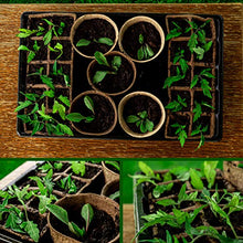 Load image into Gallery viewer, Biodegradable Seed Starter Kit - Seed Starter Trays with Humidity Dome and Base | Germination Trays for Vegetable and Flower Indoor / Outdoor Gardening
