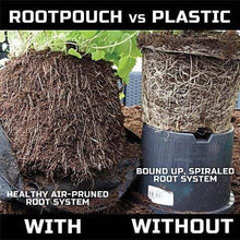 Load image into Gallery viewer, Best Root Pouch (10 Gallon) (10 Pack). Best Aeration Garden Pot and Grow Bag from Maui Mike&#39;s. Grow Bigger and Healthier Tomatoes, Herbs and Veggies. ECO Friendly.
